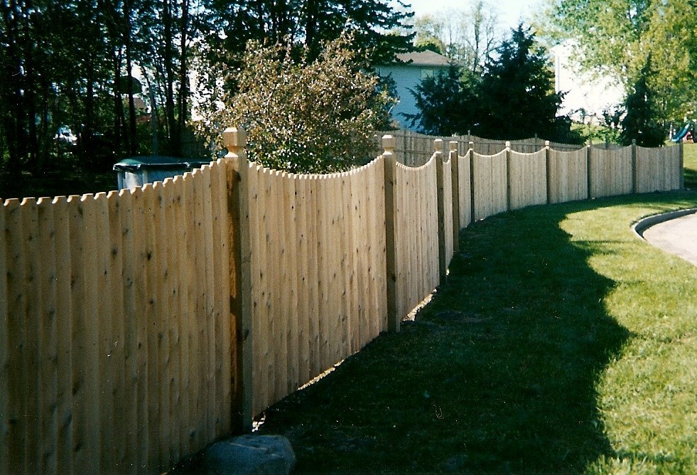 fence/scan0005.jpg